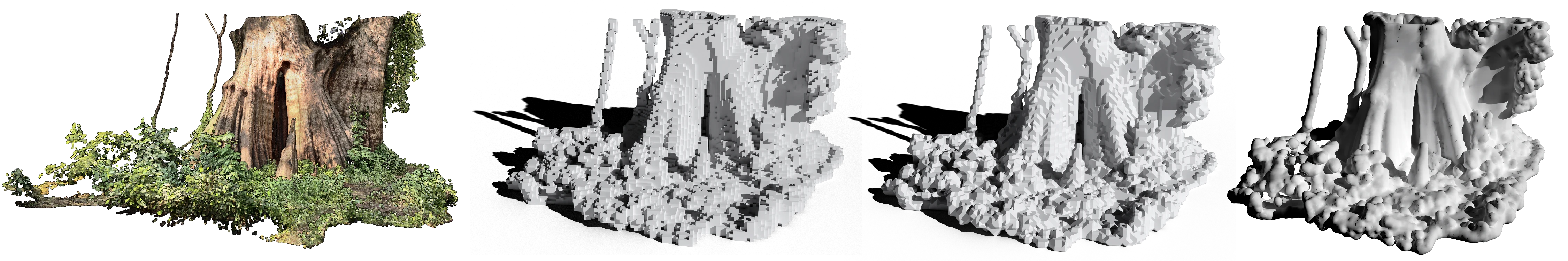 Reconstruction Process