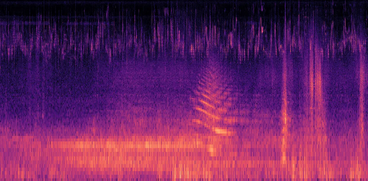 Spectrogram